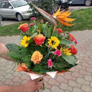 FB_IMG_1623501250712.jpg
