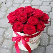 received_387579185778336.jpeg